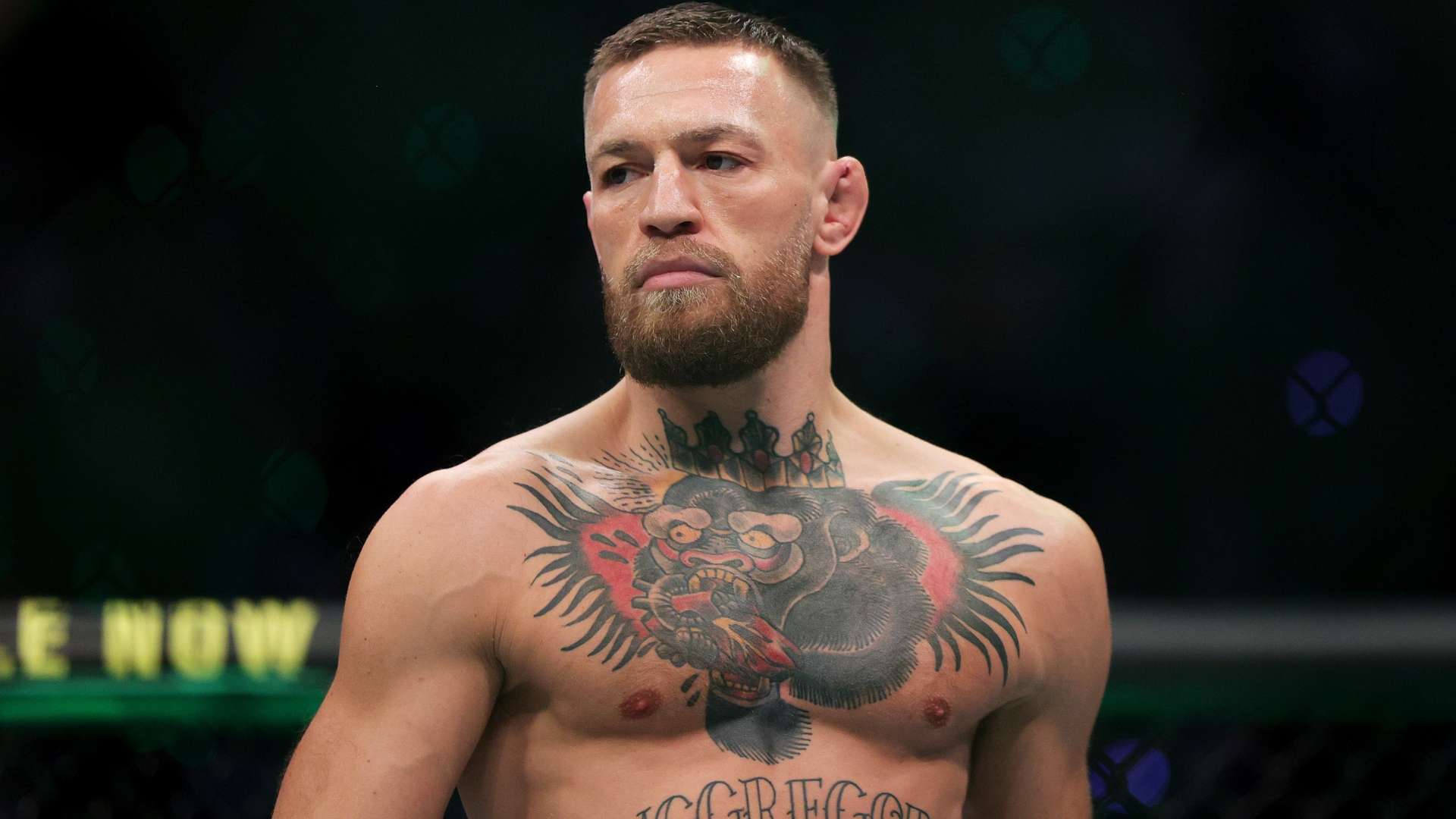 深入剖析主 深入剖析主