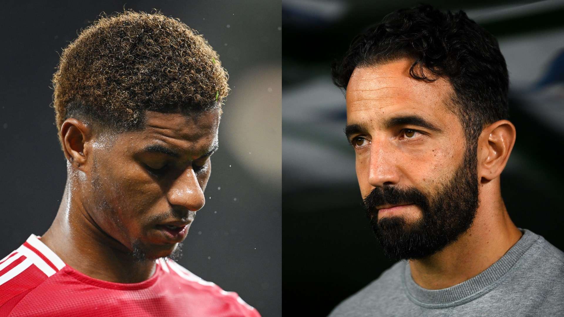 丽的历史画 丽的历史画